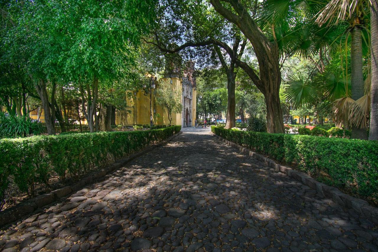 メキシコシティFl 59 Coyoacan At Your Doorstep!アパートメント エクステリア 写真