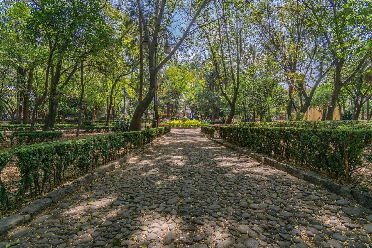 メキシコシティFl 59 Coyoacan At Your Doorstep!アパートメント エクステリア 写真